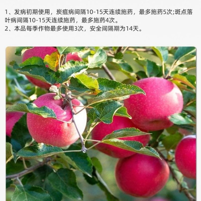 双吉福音60%唑醚代森联苹果轮纹病柑橘树炭疽病正品杀菌剂