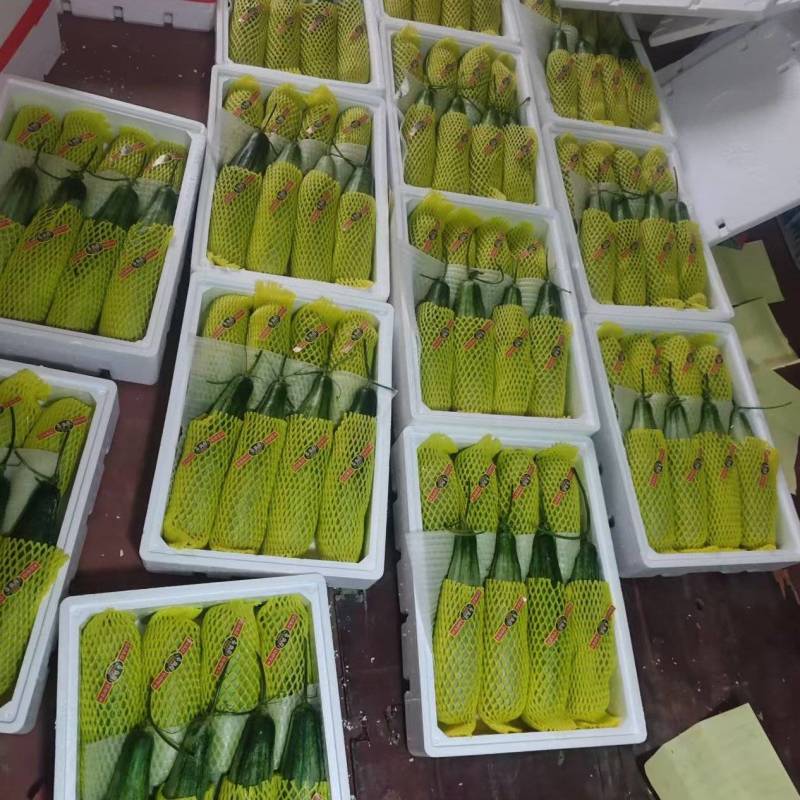 甜瓜，羊角蜜，羊角蜜甜瓜