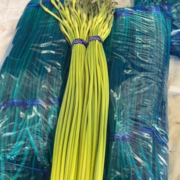 大名精品红帽蒜苔