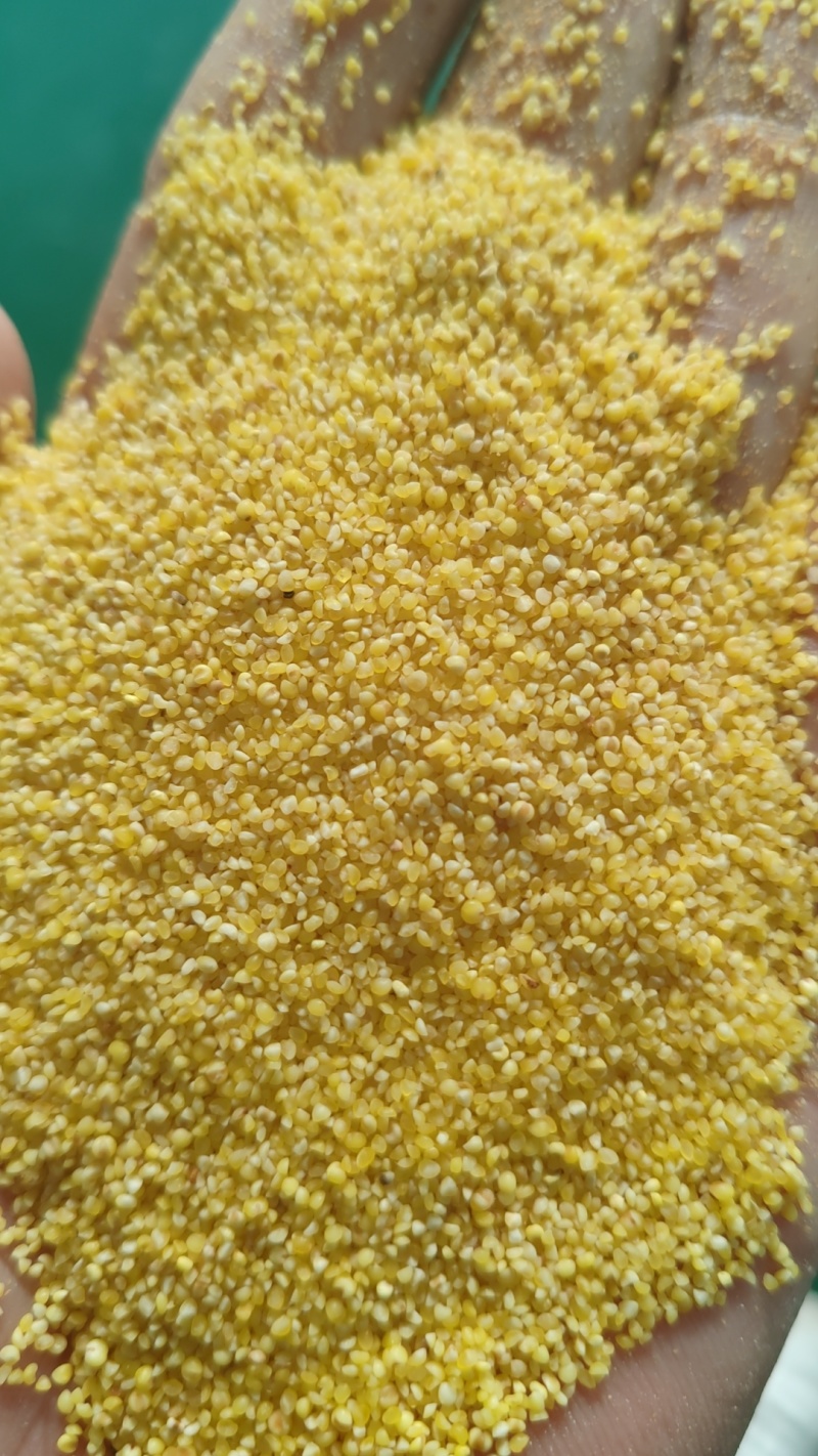碎小米，沁州黄