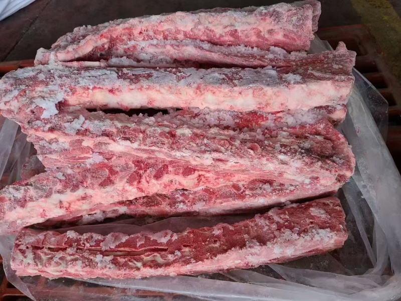 母猪龙骨