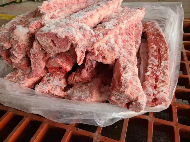 母猪龙骨