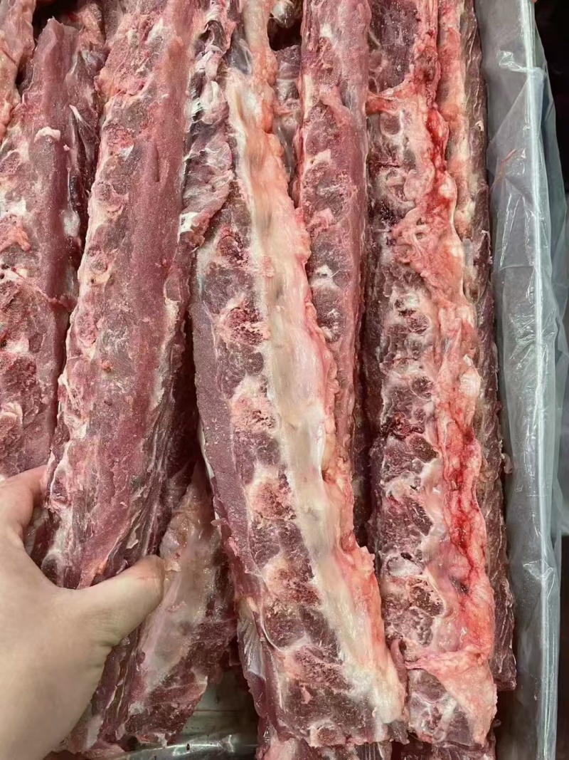 母猪龙骨