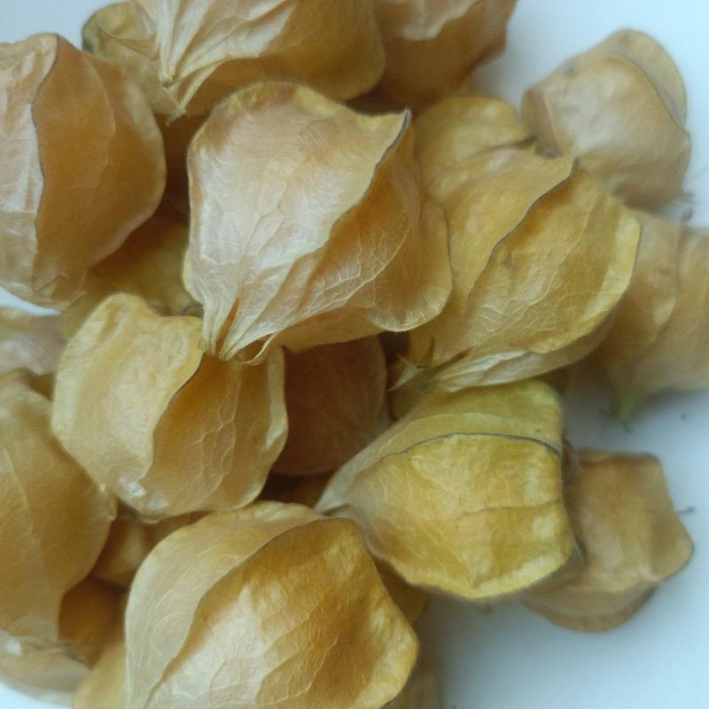 云南西双版纳菇娘果