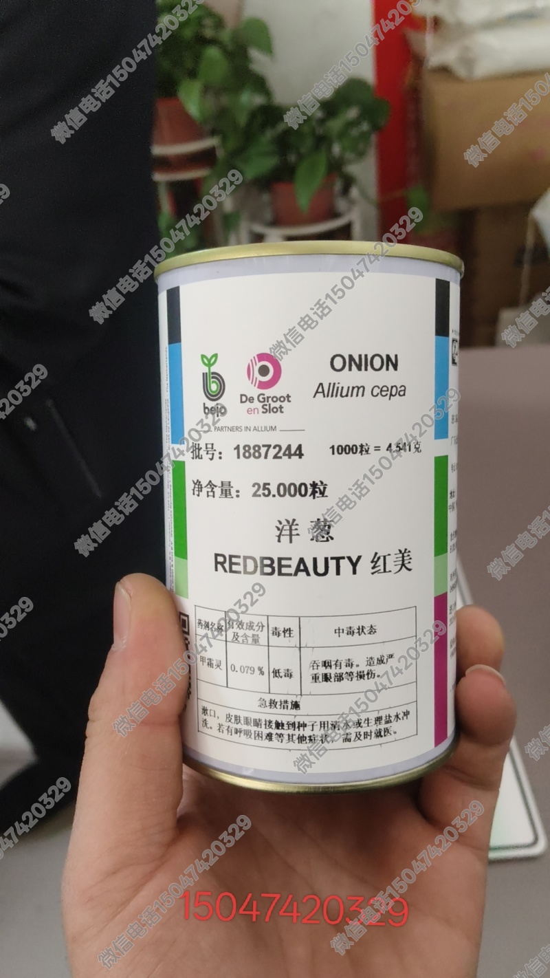 库存红美8-12