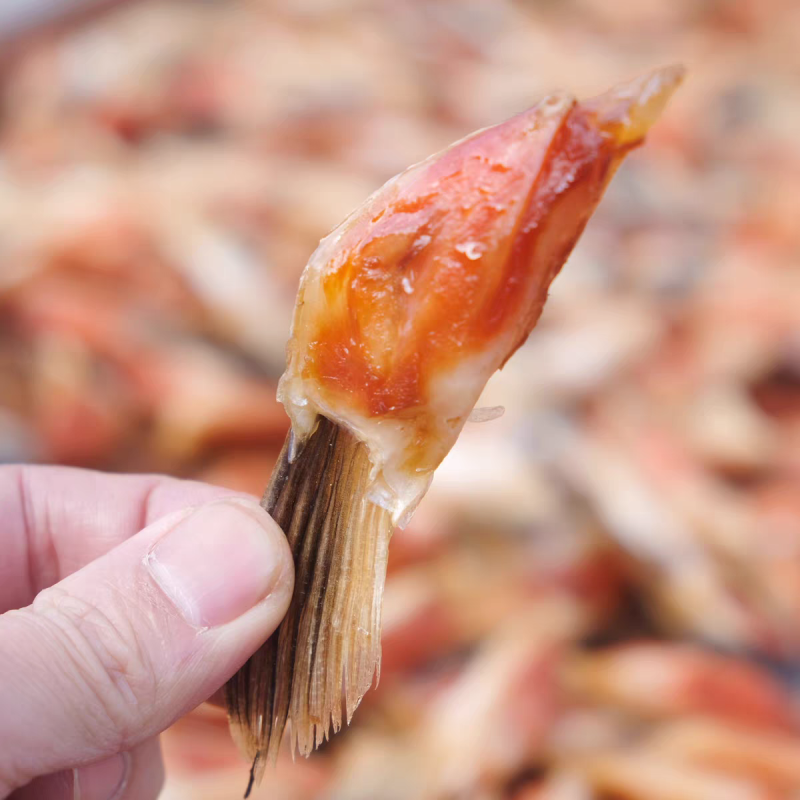 新鲜三文鱼鳍鱼翅肉多三文鱼边角料烧烤炖
