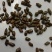 决明子茶泡水中药做枕头都好批发岀售