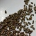 决明子茶泡水中药做枕头都好批发岀售