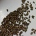 决明子茶泡水中药做枕头都好批发岀售