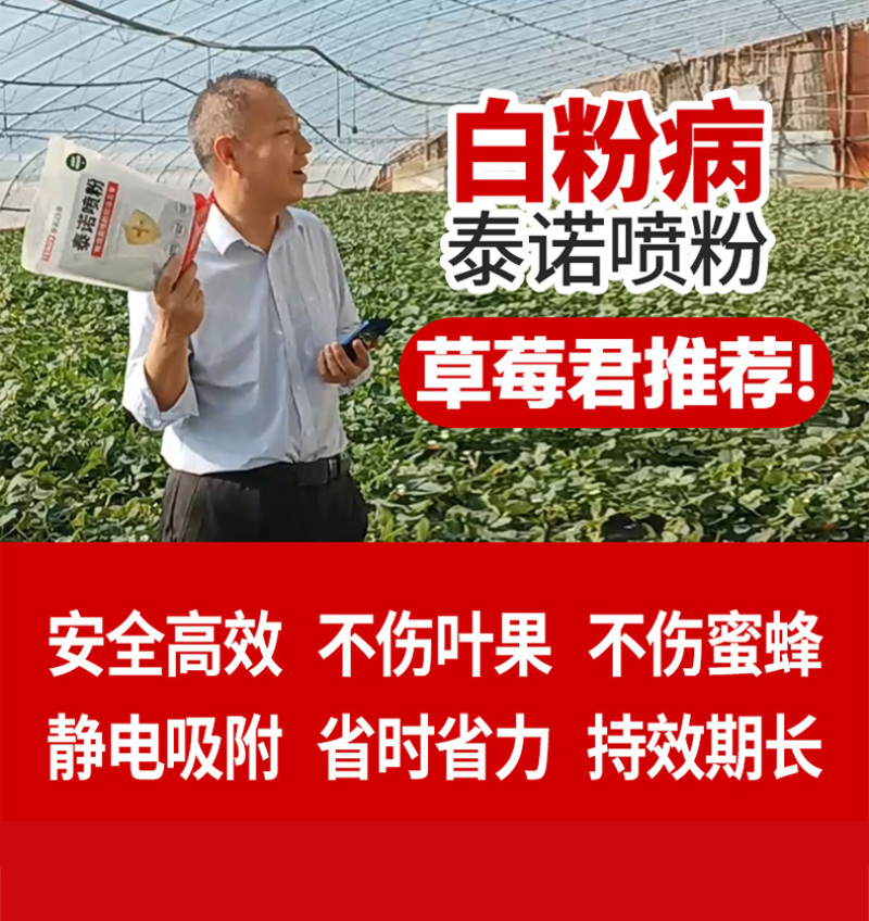 泰诺药业白粉病喷粉防治套餐，省时省工省力不伤花果不伤蜂