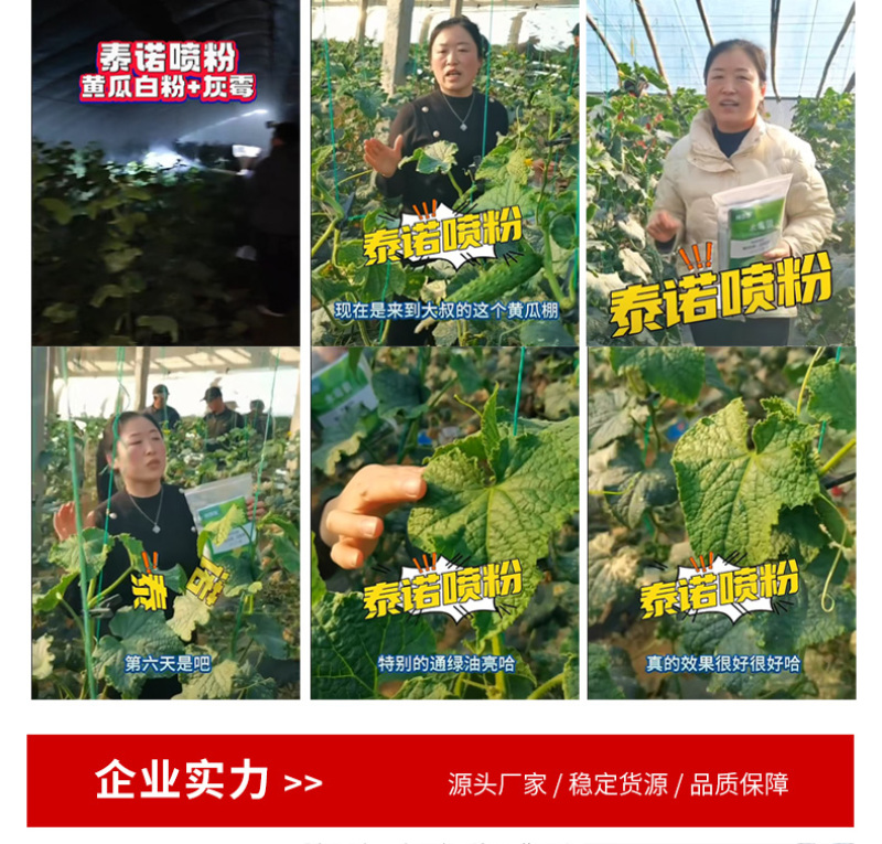 泰诺药业白粉病喷粉防治套餐，省时省工省力不伤花果不伤蜂