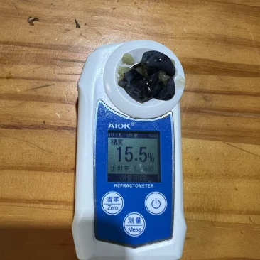 L25蓝莓