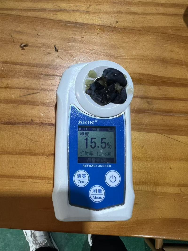 L25蓝莓