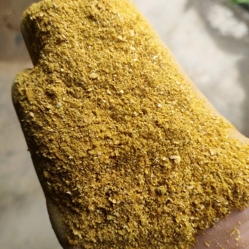 河北玉米副产品玉米皮喷浆玉米皮玉米白皮！！！