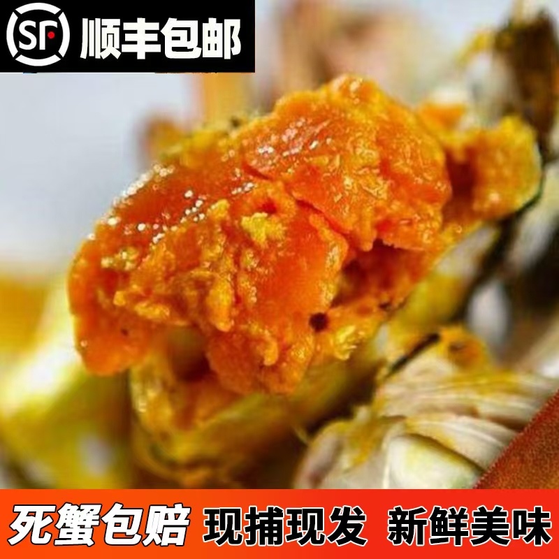 洪泽湖精品大闸蟹，一手货源货量充足，视频看货质量保证