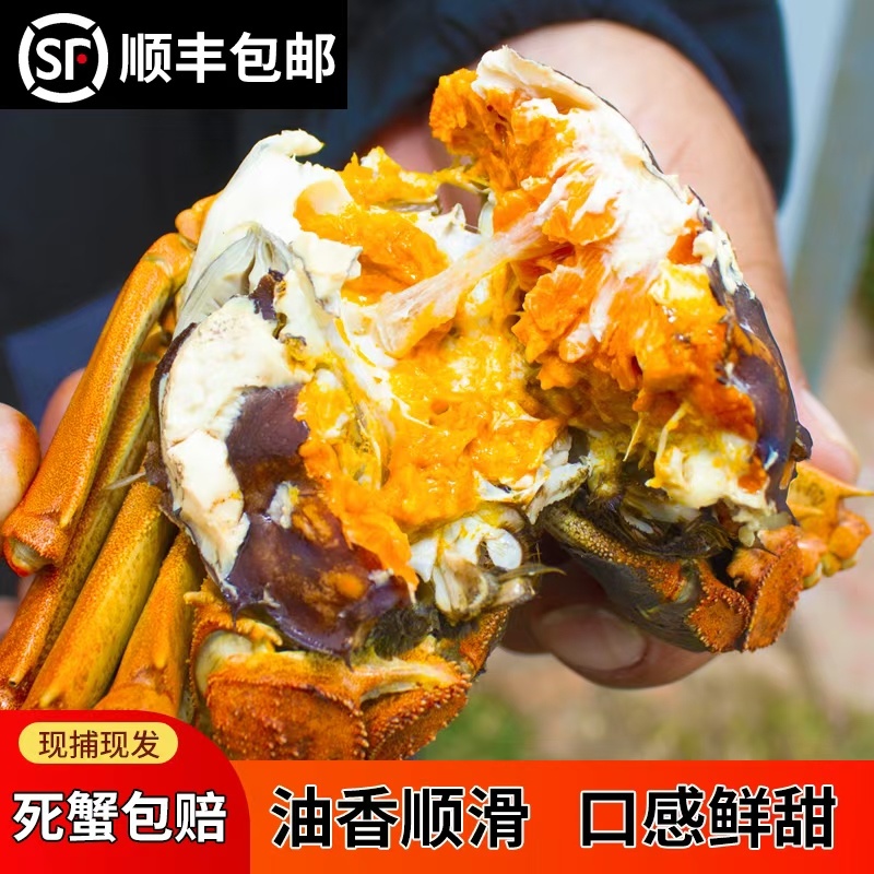 洪泽湖精品大闸蟹，一手货源货量充足，视频看货质量保证