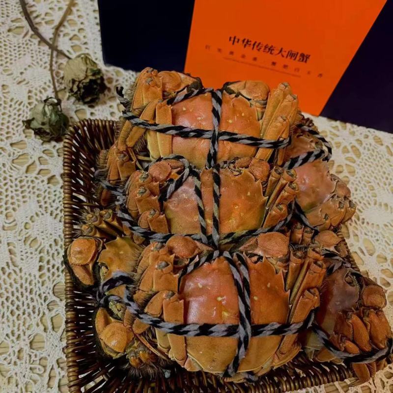 洪泽湖精品大闸蟹，一手货源货量充足，视频看货质量保证