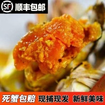 洪泽湖大闸蟹公蟹，产地批发价，对接全国商超市场电商