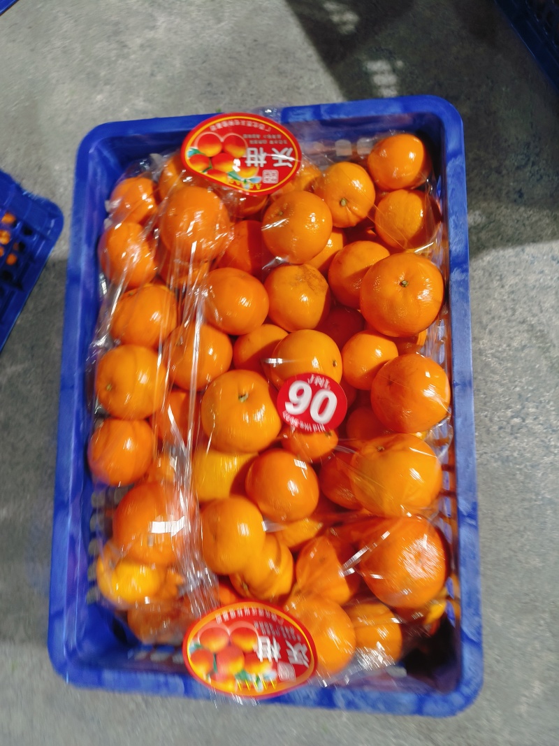 广西沃柑颜色红，口感纯甜，价格美丽货源充足