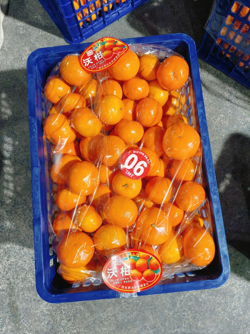 广西沃柑颜色红，口感纯甜，价格美丽货源充足