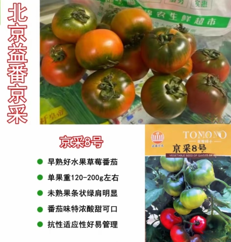 京采8号草莓西红柿苗，青肩浓糖度高口感佳，抗病毒有苗子