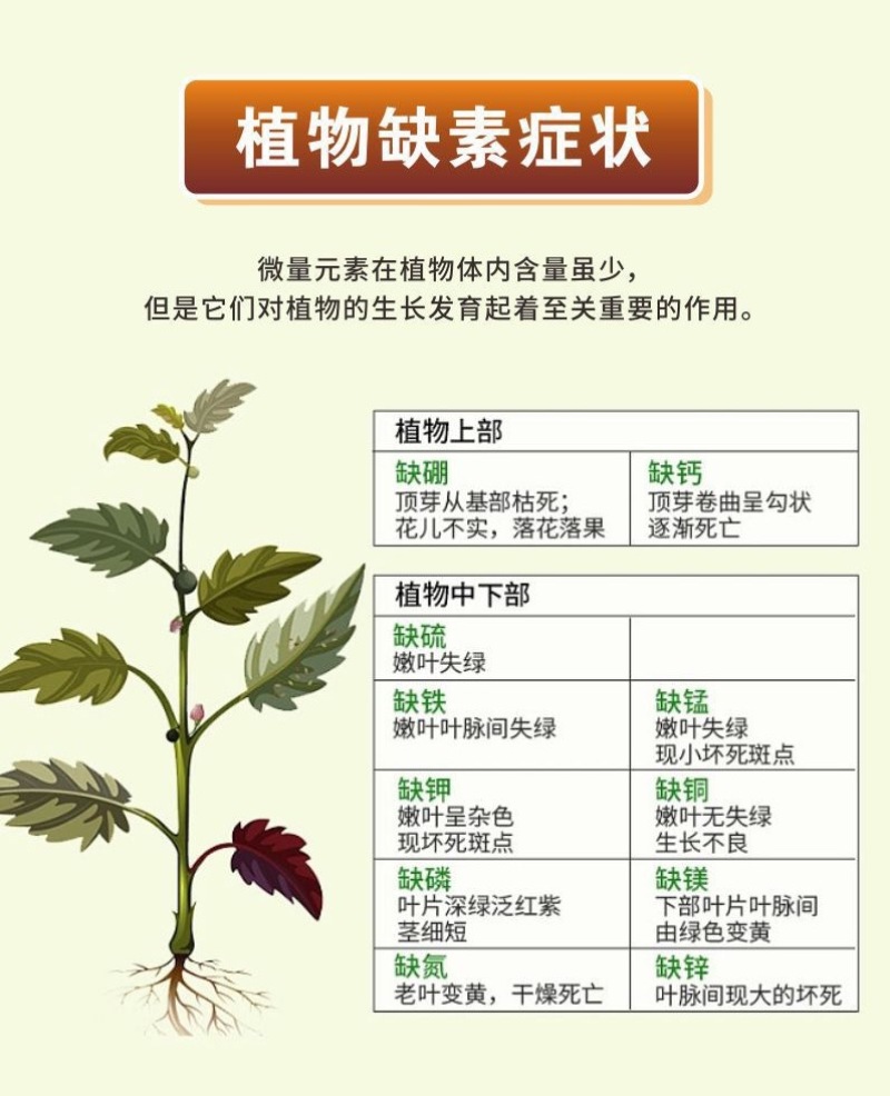 硼肥颗粒促进花芽保花保果底施缓释提高坐果率工厂直供量大从