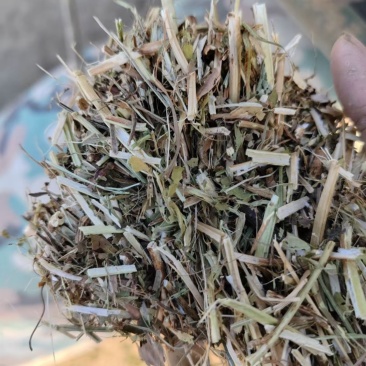 一级花生秧羊草马草