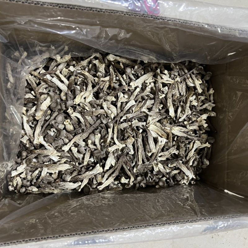 古田鹿茸菇(贵旺）(品品鲜）(如意情）一件代发实力工厂
