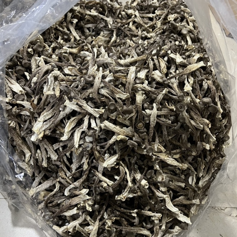 古田鹿茸菇(贵旺）(品品鲜）(如意情）一件代发实力工厂