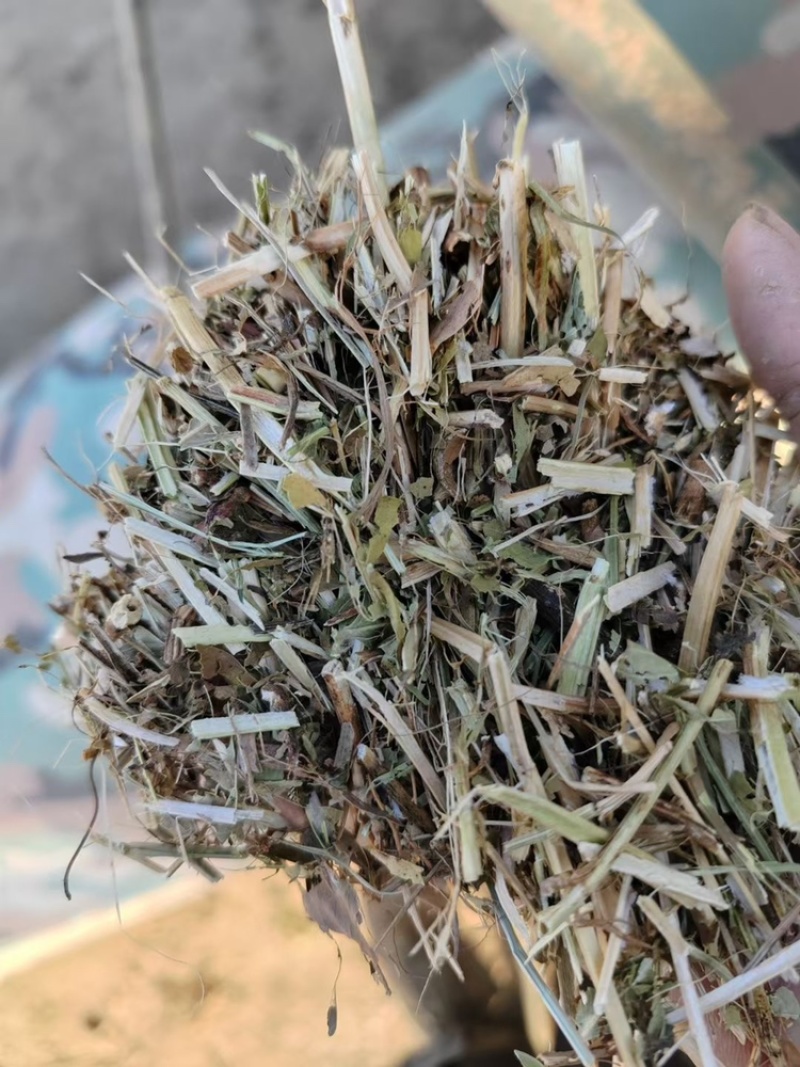 一级花生秧羊草马草