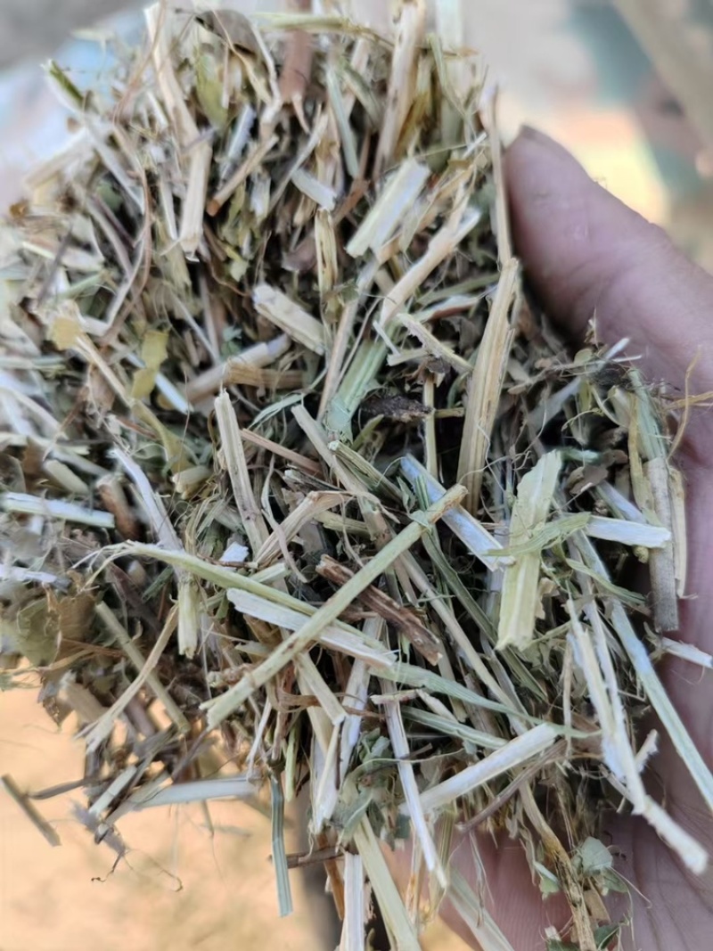 一级花生秧羊草马草