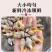 贝贝螺红枣螺鲜活冷冻花螺香螺小海螺酒店商用批发贝类海鲜水