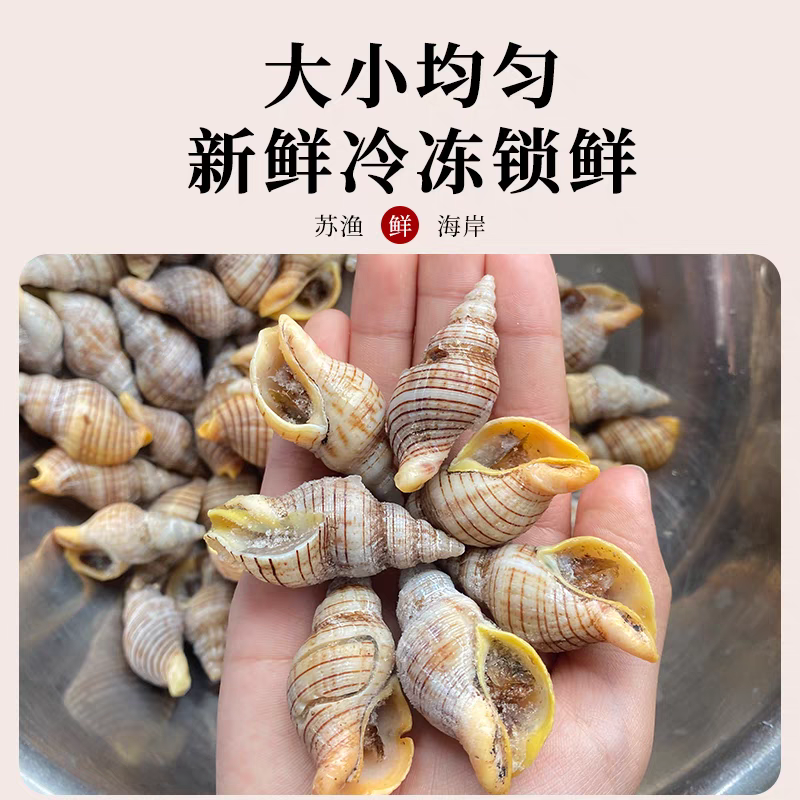 贝贝螺红枣螺鲜活冷冻花螺香螺小海螺酒店商用批发贝类海鲜水
