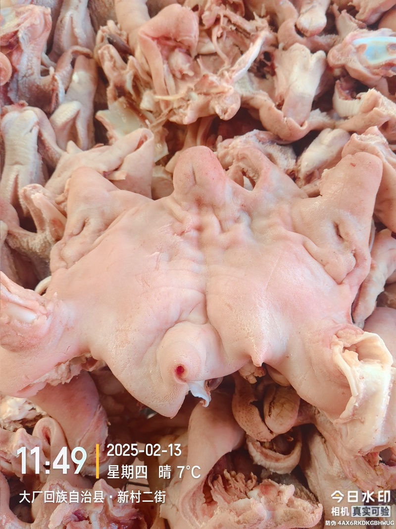 羊头肉，每天有货大量批发