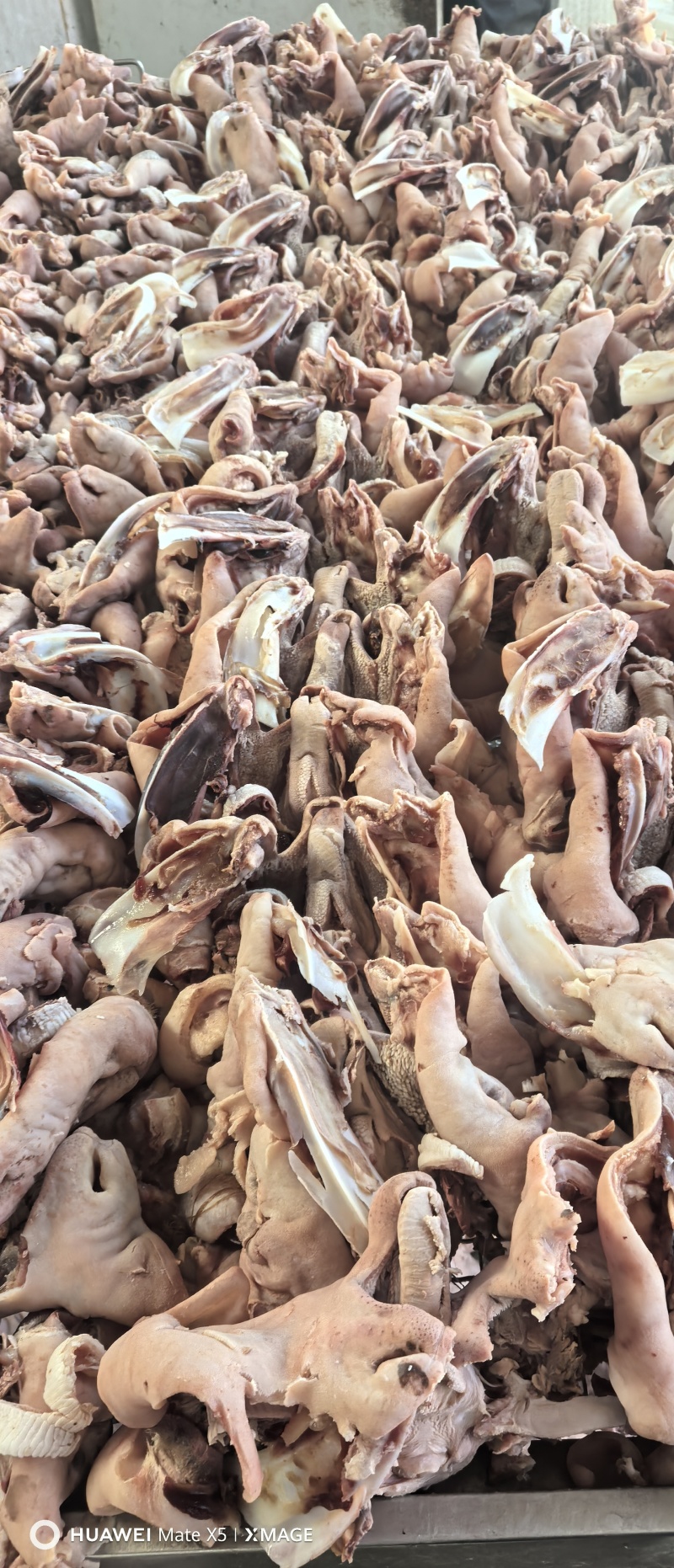 羊头肉，每天有货大量批发