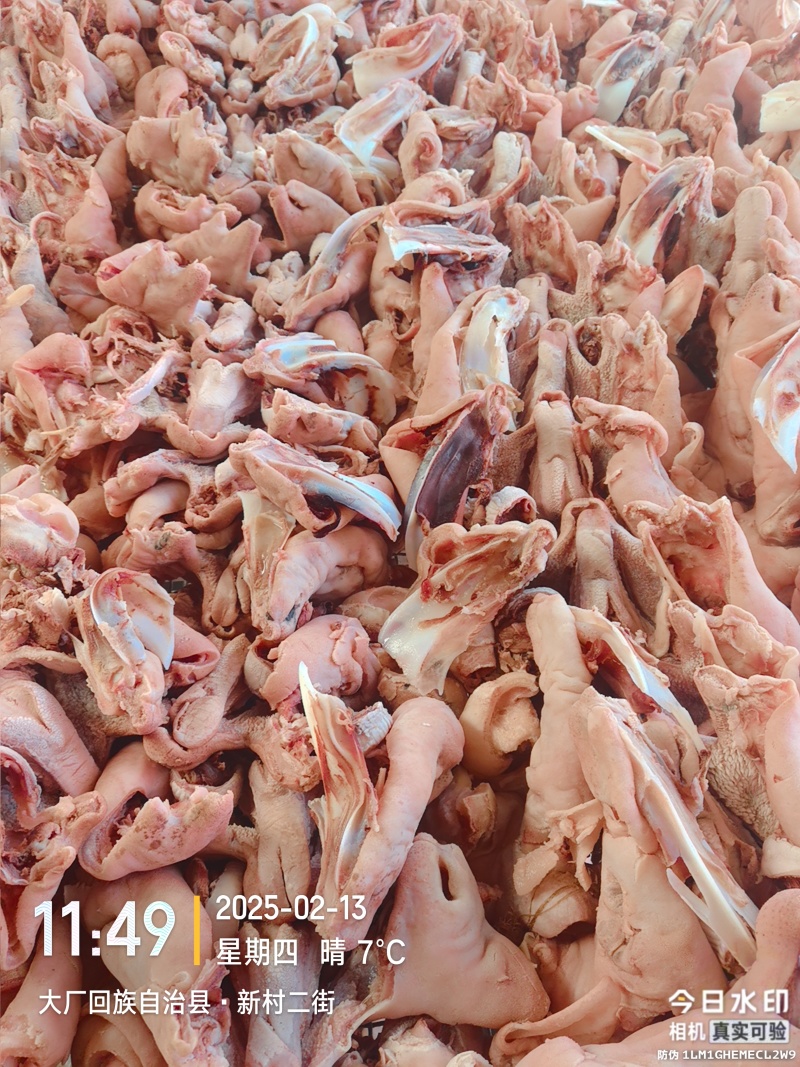羊头肉，每天有货大量批发