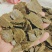 菜籽饼有机肥养花种菜通用型多肉家用型肥料
