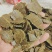 菜籽饼有机肥养花种菜通用型多肉家用型肥料