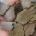菜籽饼有机肥养花种菜通用型多肉家用型肥料