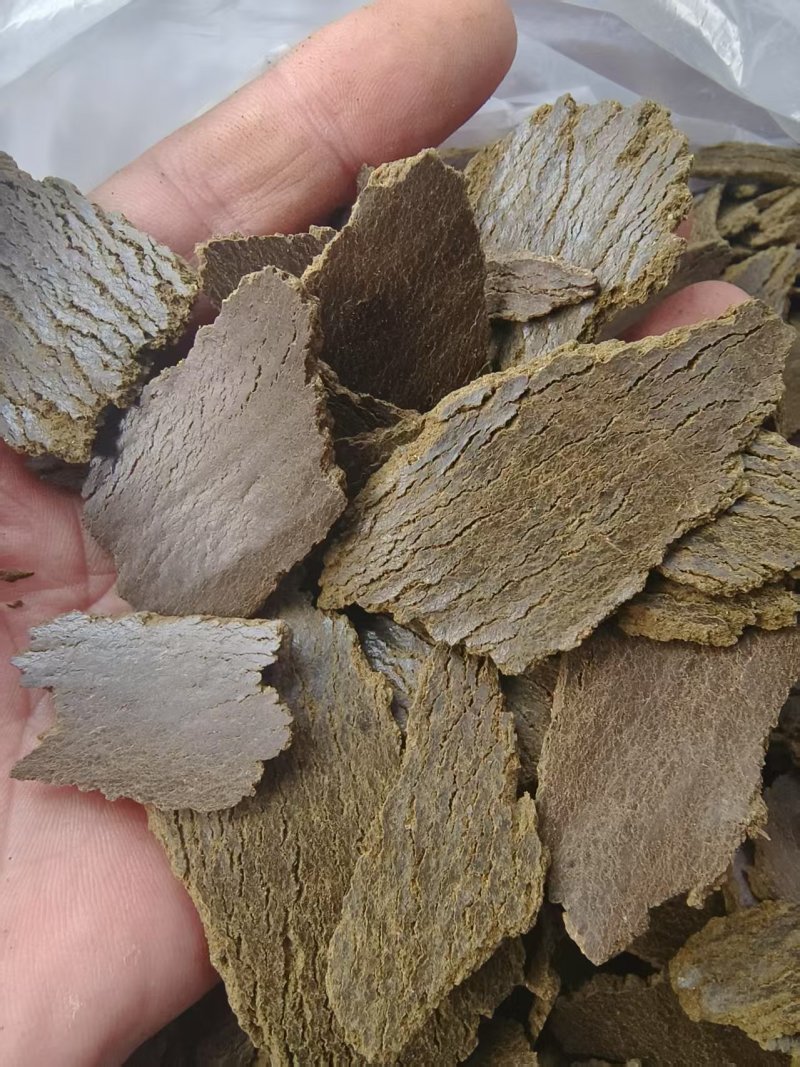 菜籽饼有机肥养花种菜通用型多肉家用型肥料