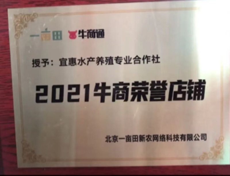 蛙苗蝌蚪苗水花苗0.7厘米左右牛蛙苗欢迎来电咨询