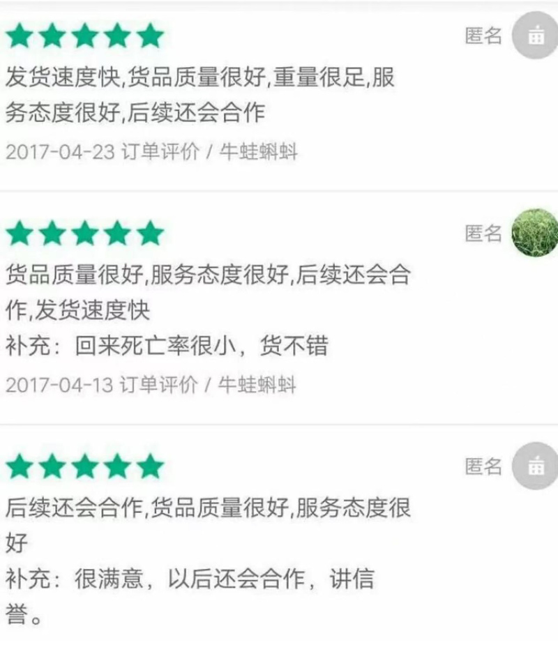 蛙苗蝌蚪苗水花苗0.7厘米左右牛蛙苗欢迎来电咨询
