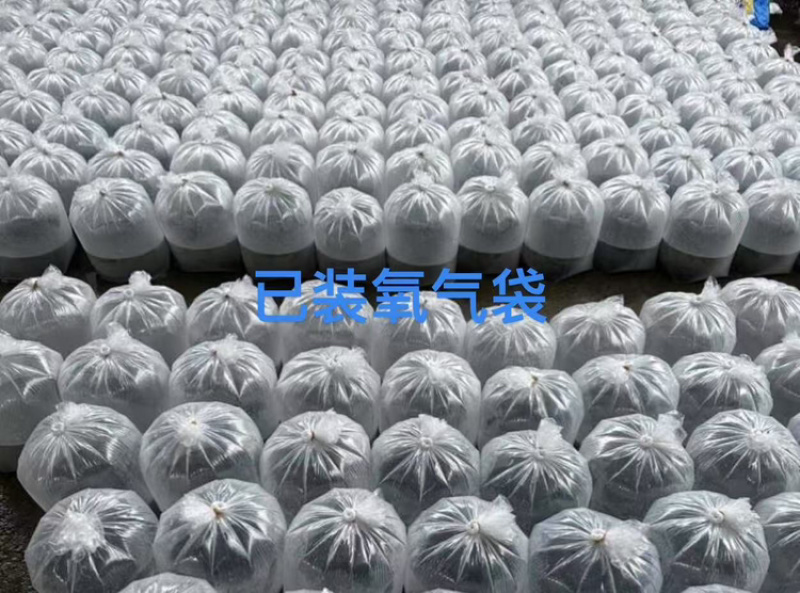 蛙苗蝌蚪苗水花苗0.7厘米左右牛蛙苗欢迎来电咨询