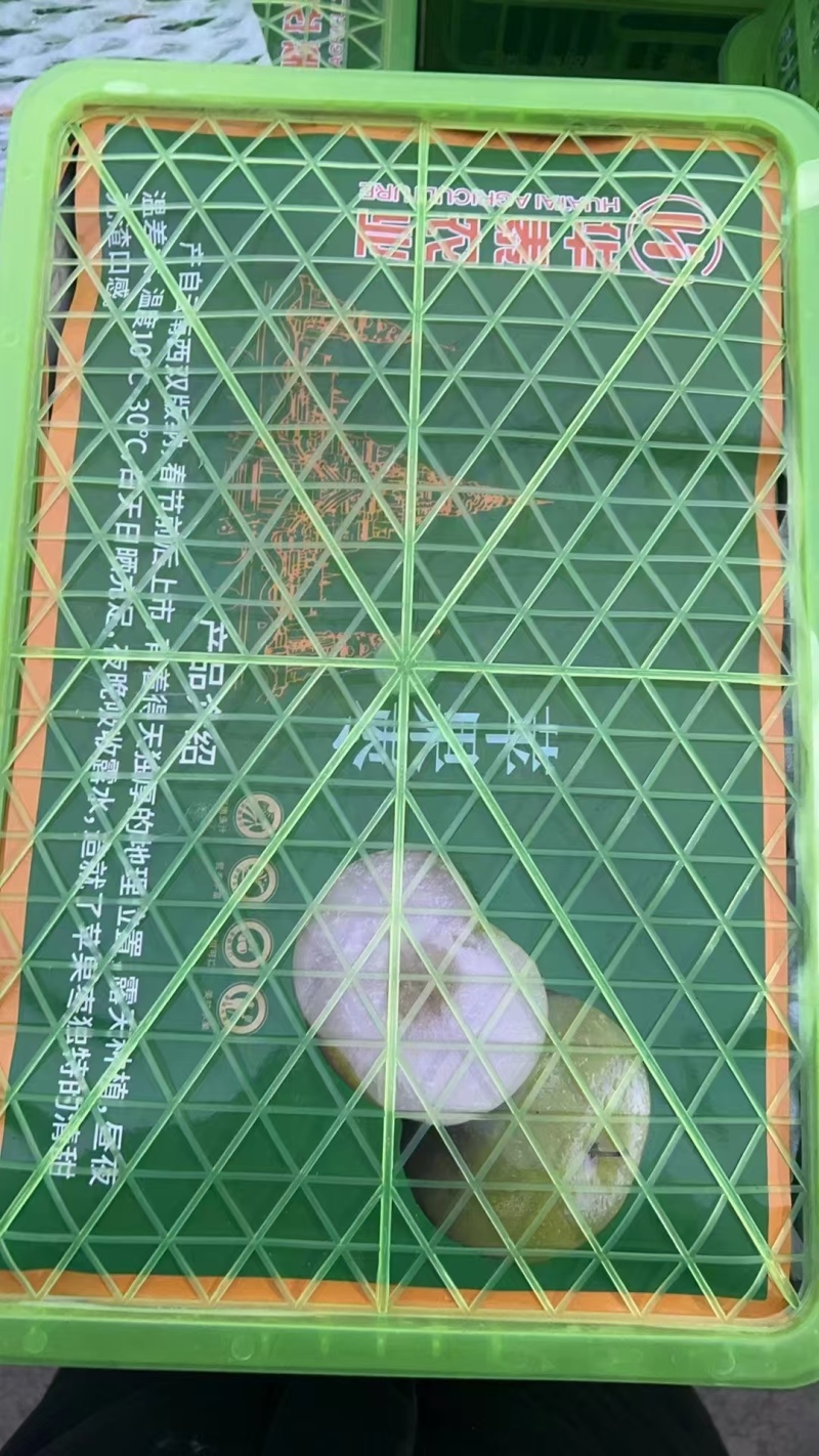 10斤牛奶枣
