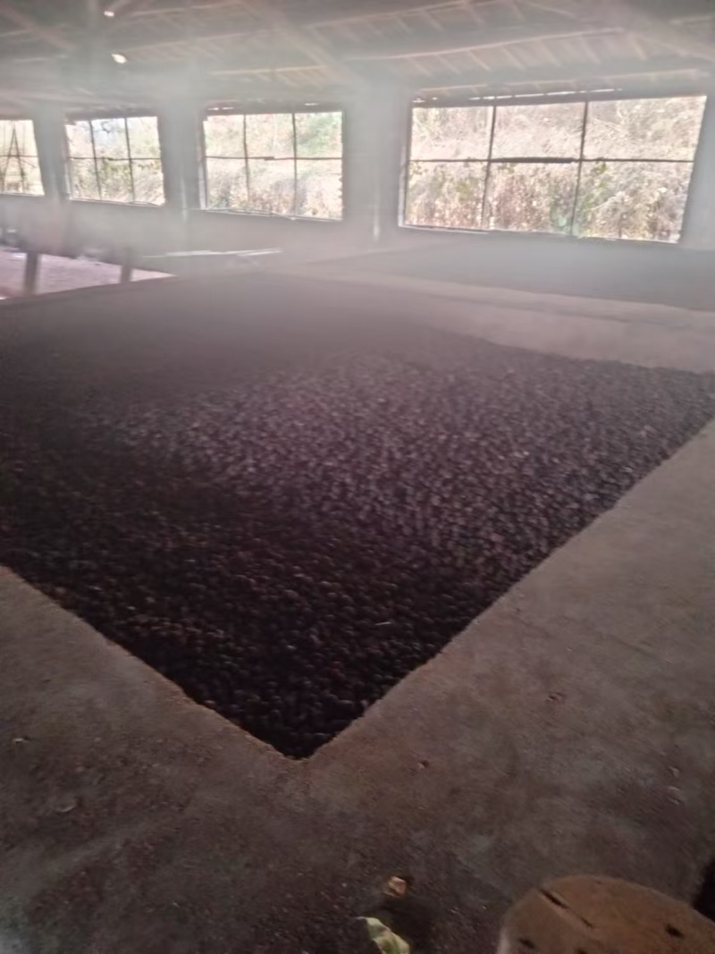 山茶油古法酿造纯手工正宗一级压榨无添加优质
