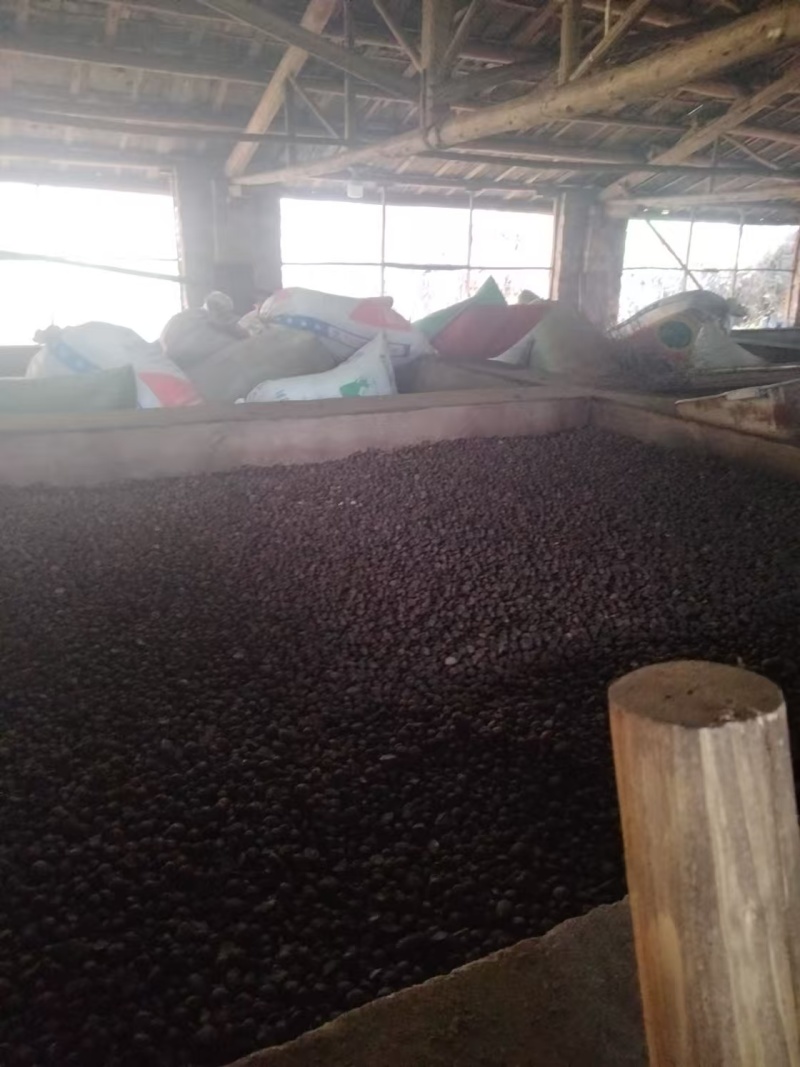 山茶油古法酿造纯手工正宗一级压榨无添加优质