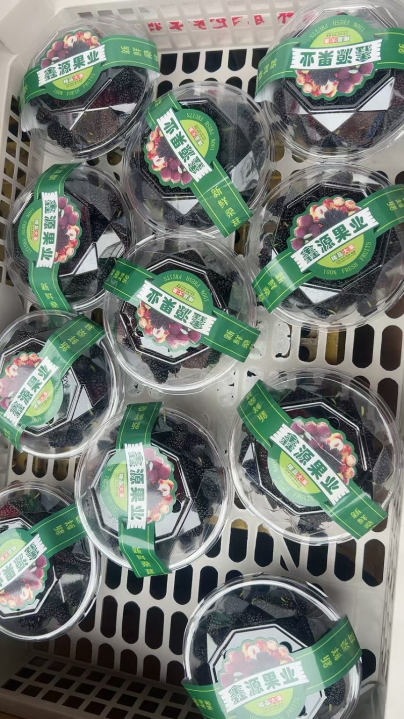 广东精品桑葚，果农精心打包装车发货，保质保量，稳定供货