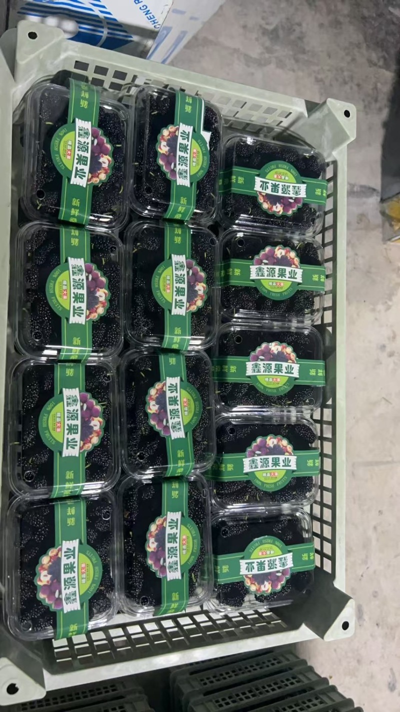 广东精品4~5cm桑葚大果,精心打包发货，欢迎下单咨询