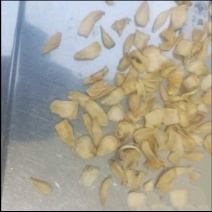 百合干片