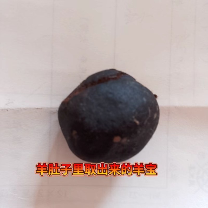出售羊宝一颗